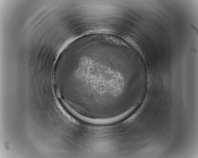 X0000099950989200806131443