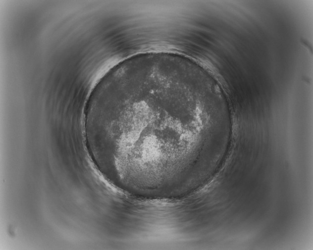 X0000099950990200806131443