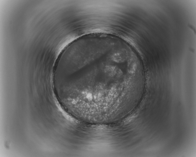 X0000099950991200806131443