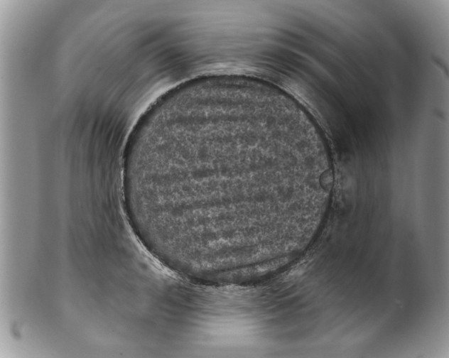 X0000099950992200806131443