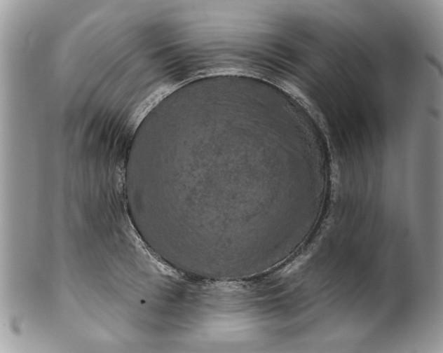 X0000099950993200806131443