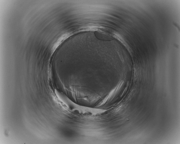 X0000099950994200806131443