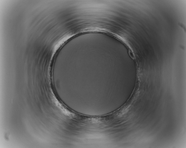 X0000099950995200806131443