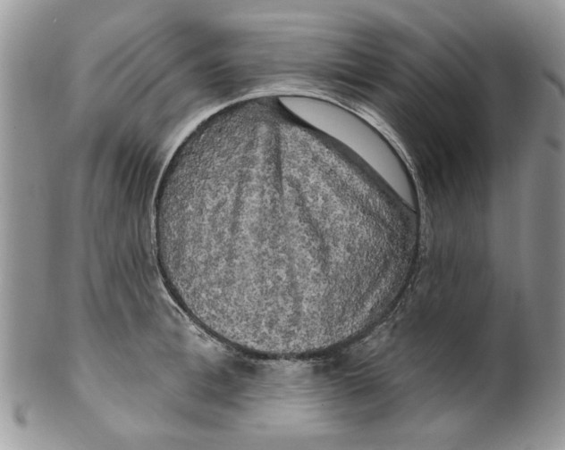 X0000099950996200806131443