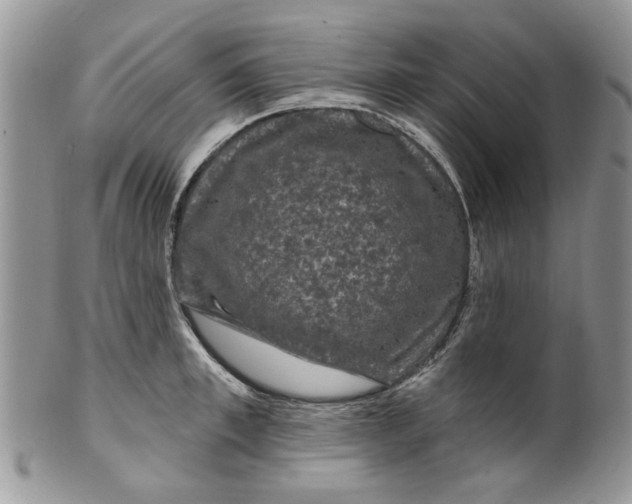 X0000099950997200806131443