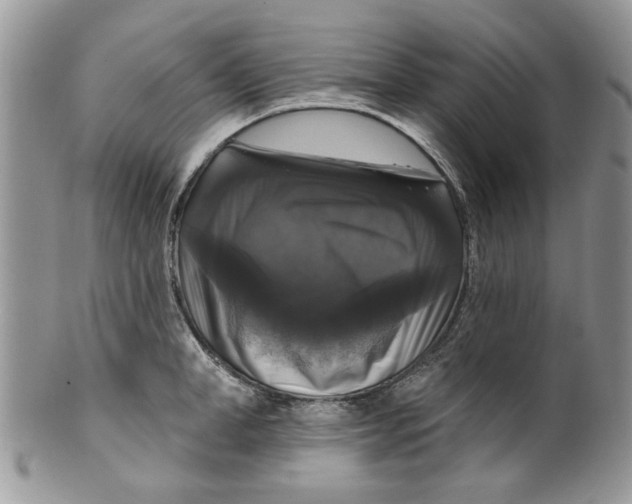 X0000099950998200806131443