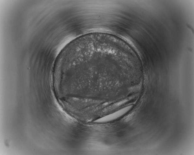 X0000099950999200806131443