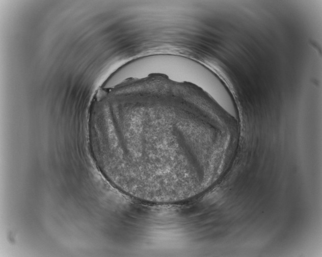 X0000099951000200806131443