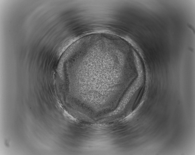 X0000099951001200806131443