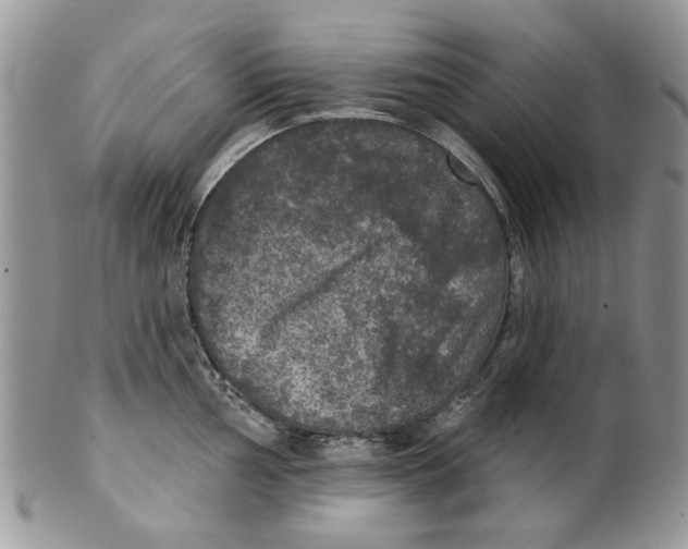 X0000099951002200806131443