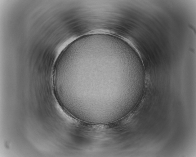 X0000099951003200806131443