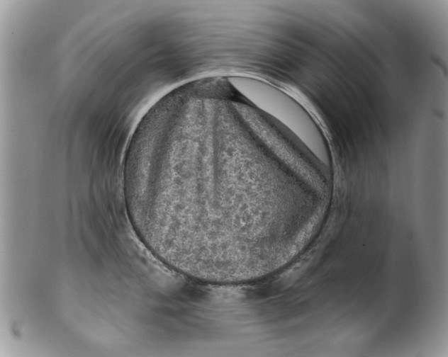 X0000099951004200806131443