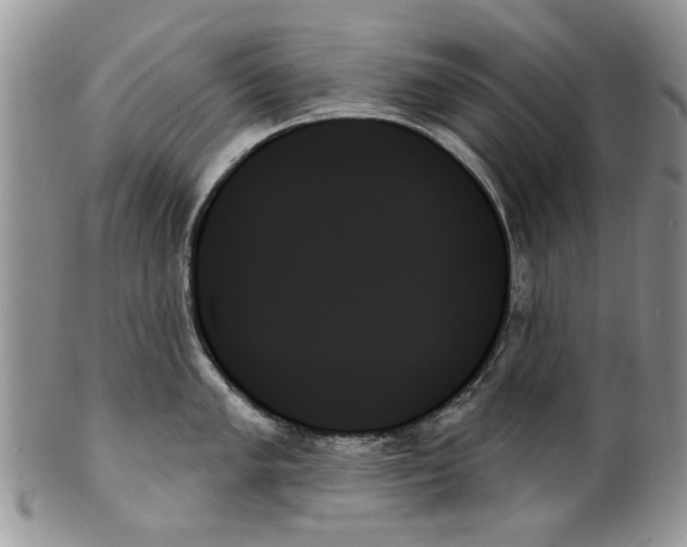 X0000099951005200806131443