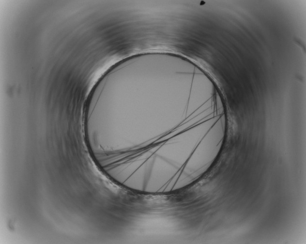 X0000099951006200806131443