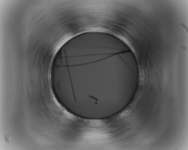 X0000099951007200806131443