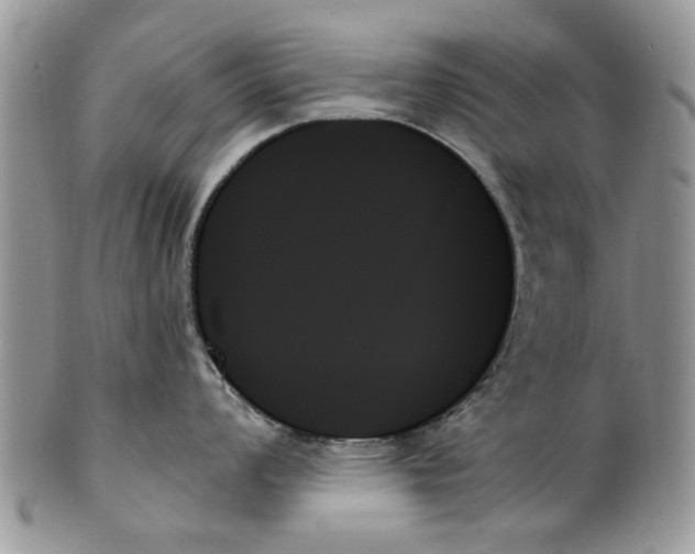 X0000099951008200806131443