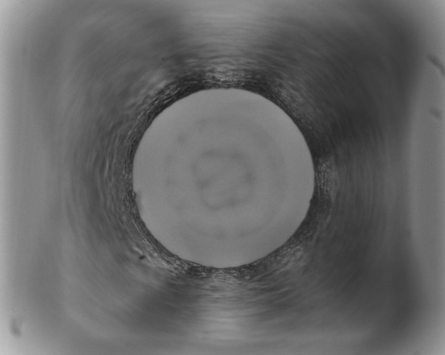 X0000099951009200806131442