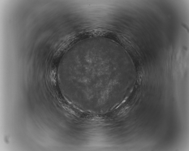 X0000099951010200806131442