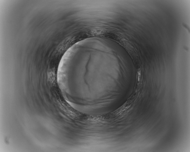 X0000099951011200806131442