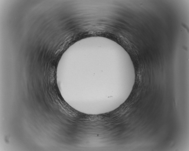 X0000099951012200806131442