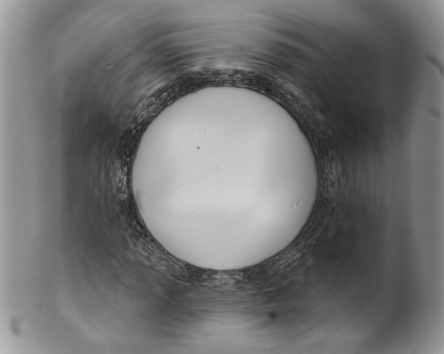 X0000099951013200806131442