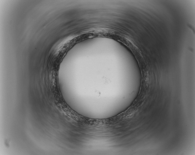 X0000099951016200806131442