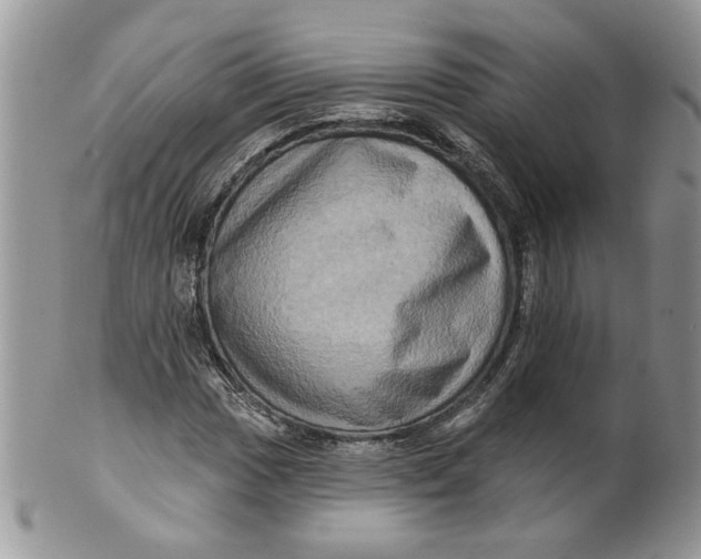 X0000099951017200806131443