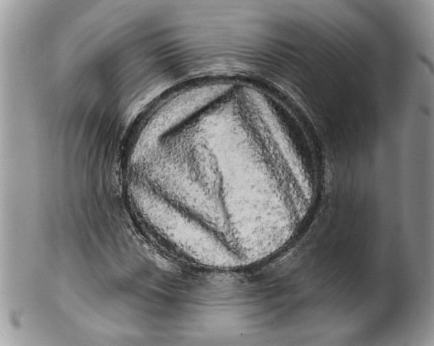 X0000099951018200806131443