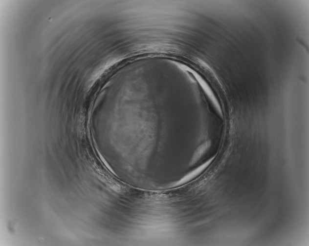 X0000099951019200806131443