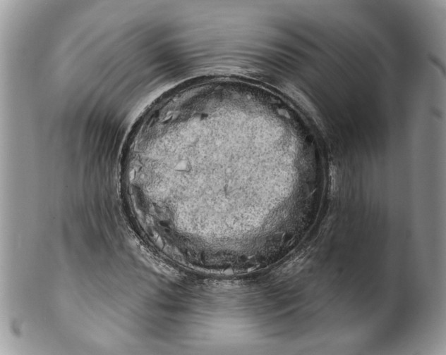 X0000099951020200806131443