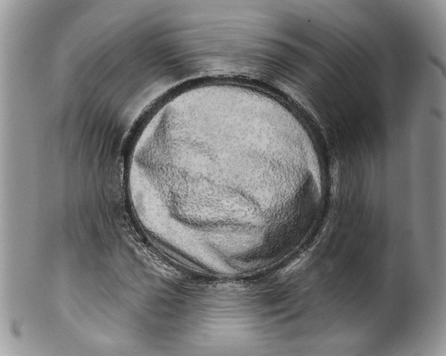 X0000099951021200806131443