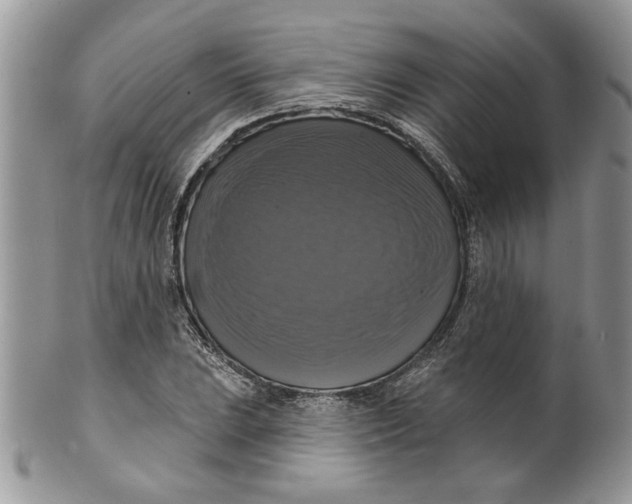 X0000099951023200806131443