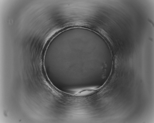 X0000099951024200806131443