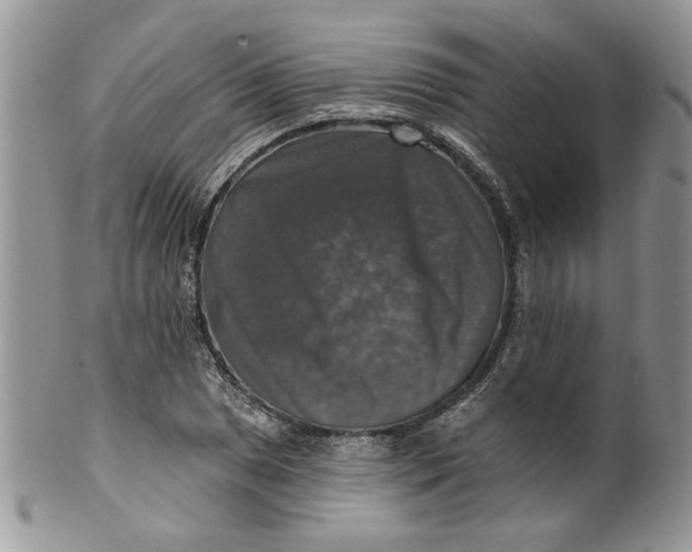 X0000099951025200806131443