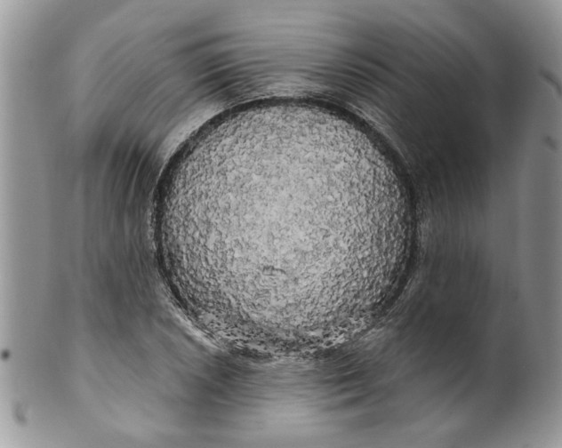 X0000099951026200806131443