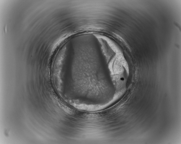 X0000099951027200806131443