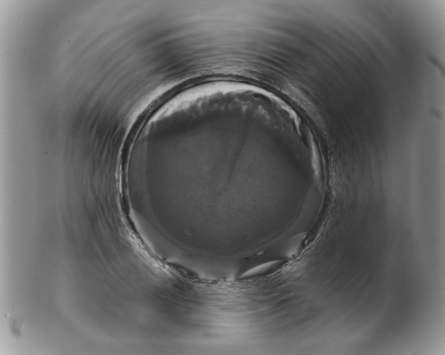 X0000099951028200806131443