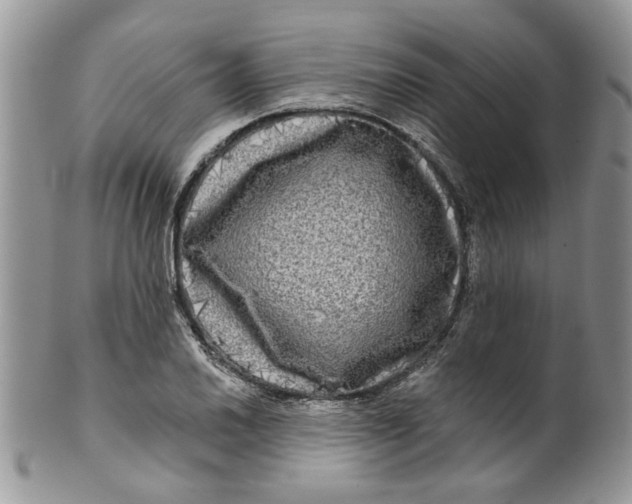 X0000099951030200806131443