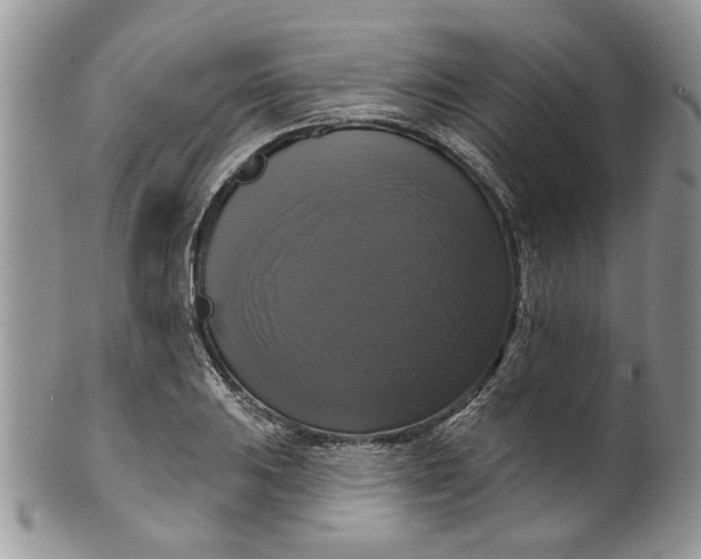 X0000099951031200806131443