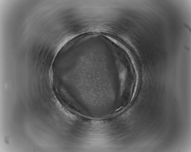 X0000099951032200806131443