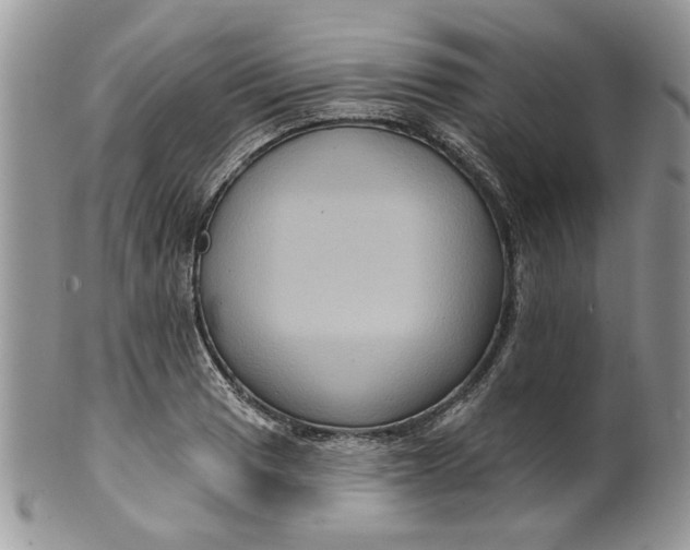 X0000099951033200806131443