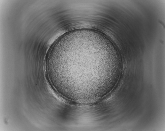 X0000099951034200806131443