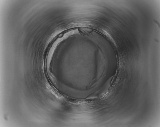 X0000099951035200806131443