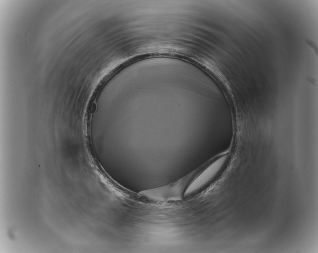 X0000099951037200806131443