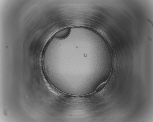 X0000099951039200806131443