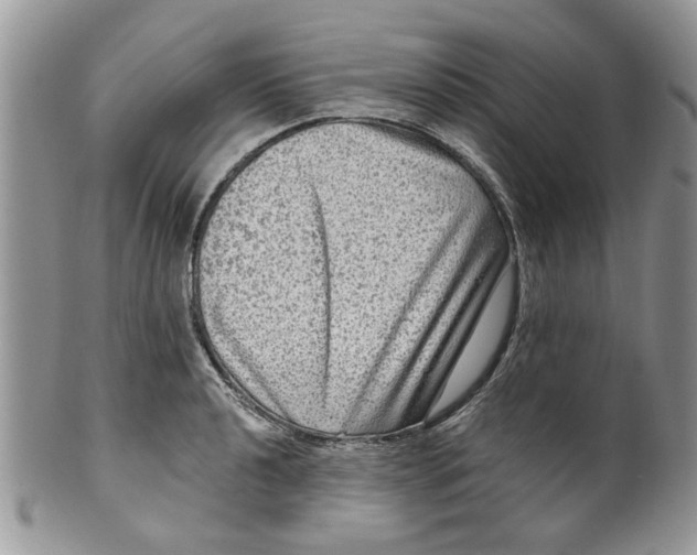 X0000099951040200806131443