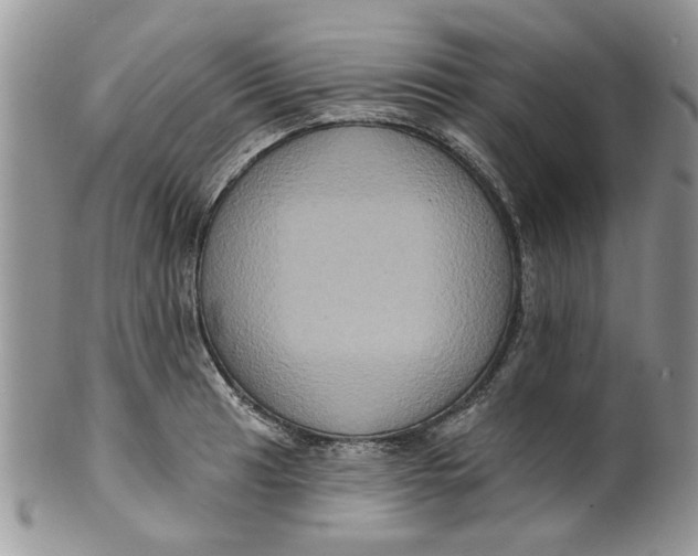 X0000099951041200806131443