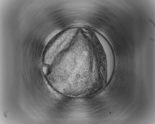 X0000099951042200806131443