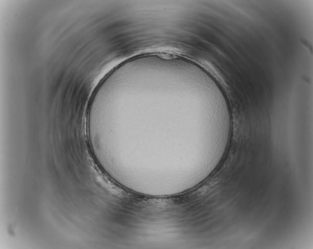 X0000099951044200806131443