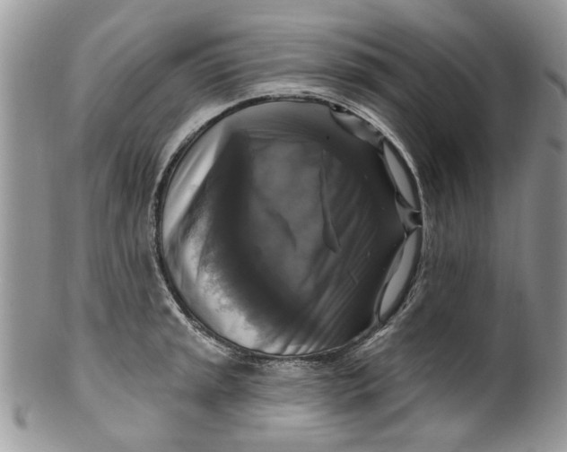 X0000099951045200806131443